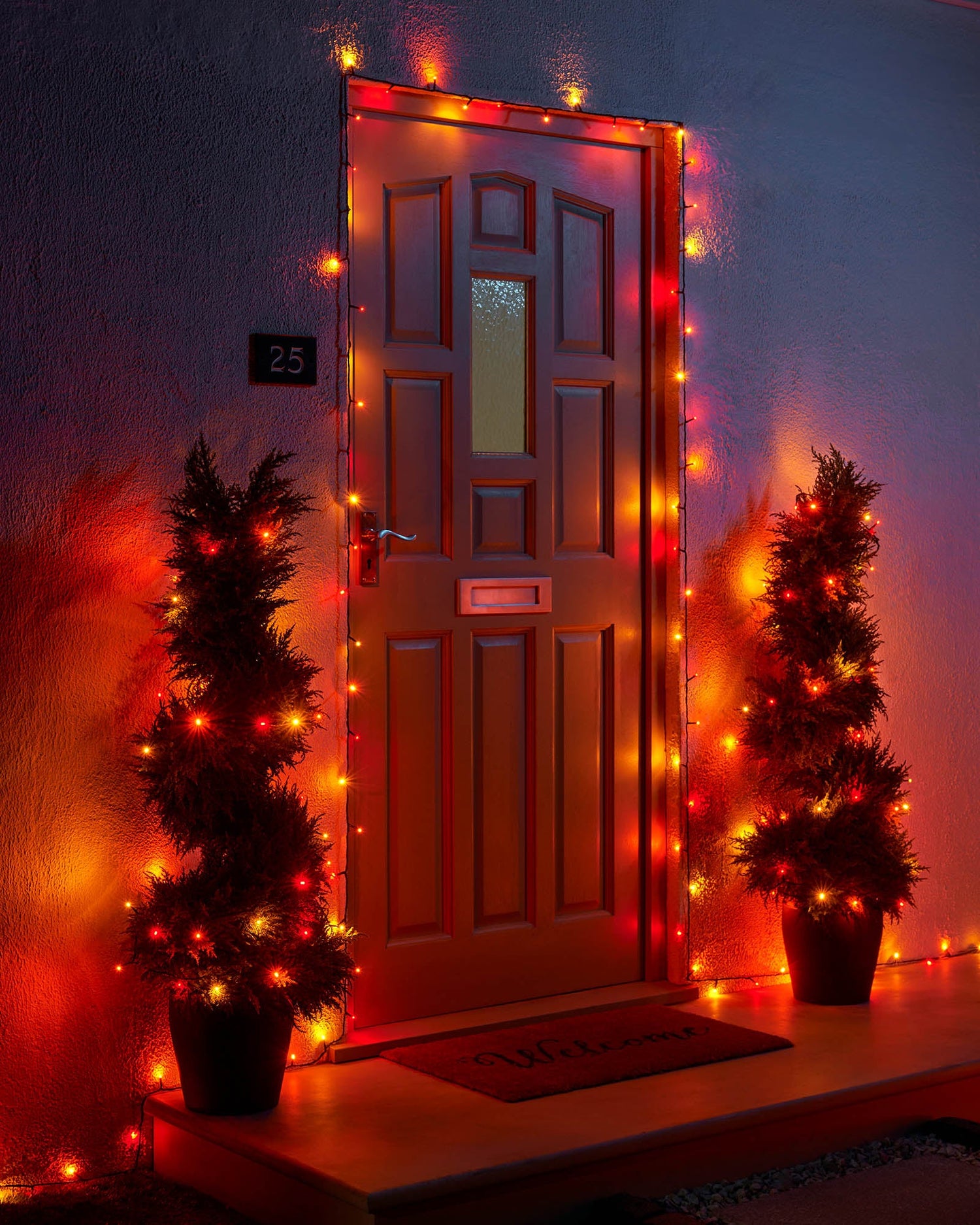 LED String Lights, Black Cable, Autumn Colour