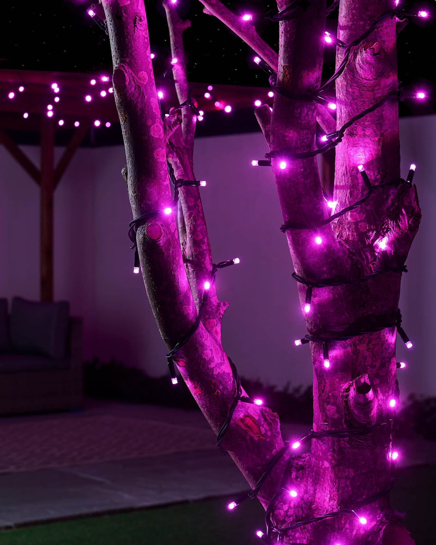 LED String Lights, Black Cable, Pink