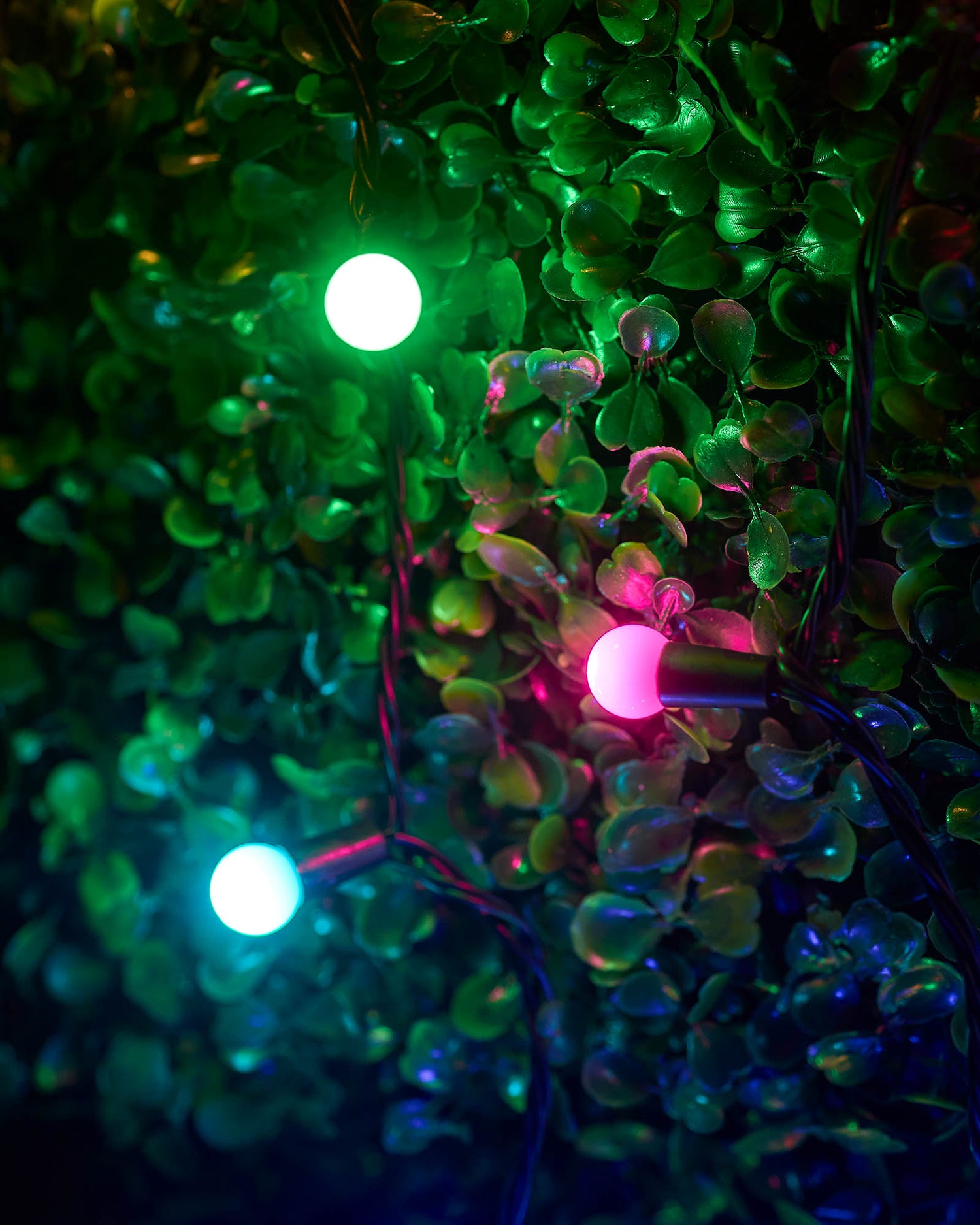 LED Berry Lights, Black Cable, Pastel Multi Colour - 8 m