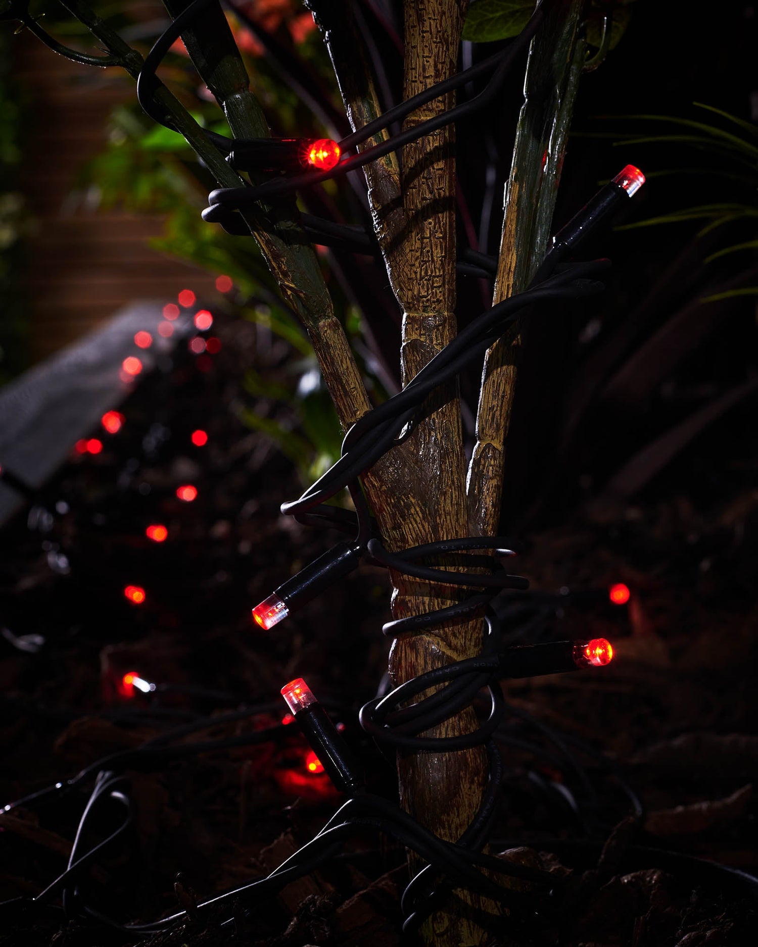 LED String Lights, Black Cable, Red