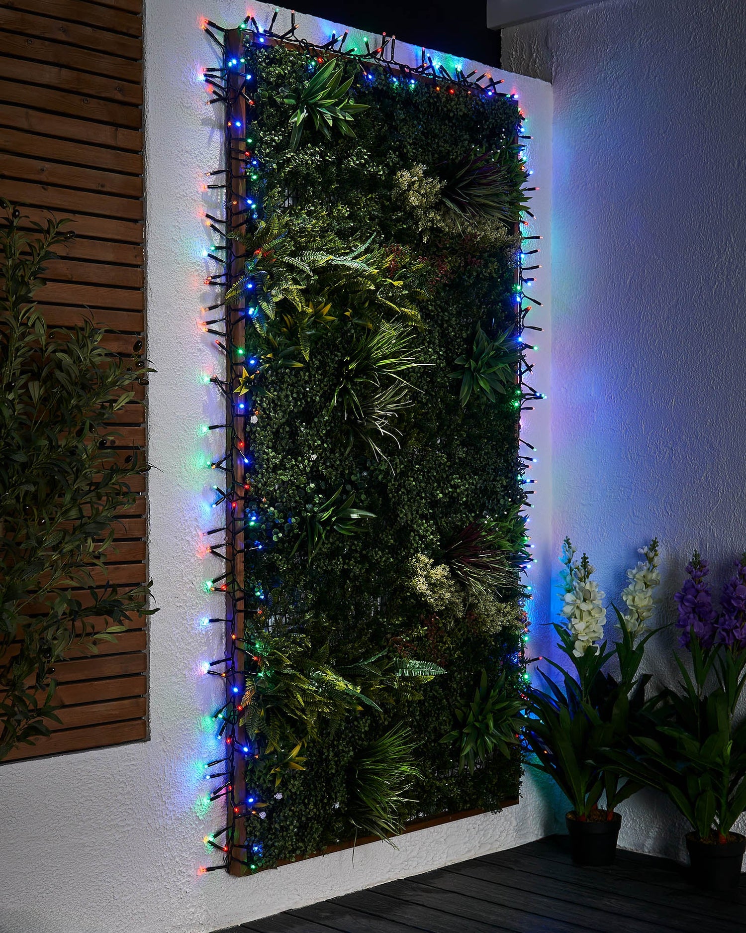 LED Cluster Lights, Black Cable, Multi Colour