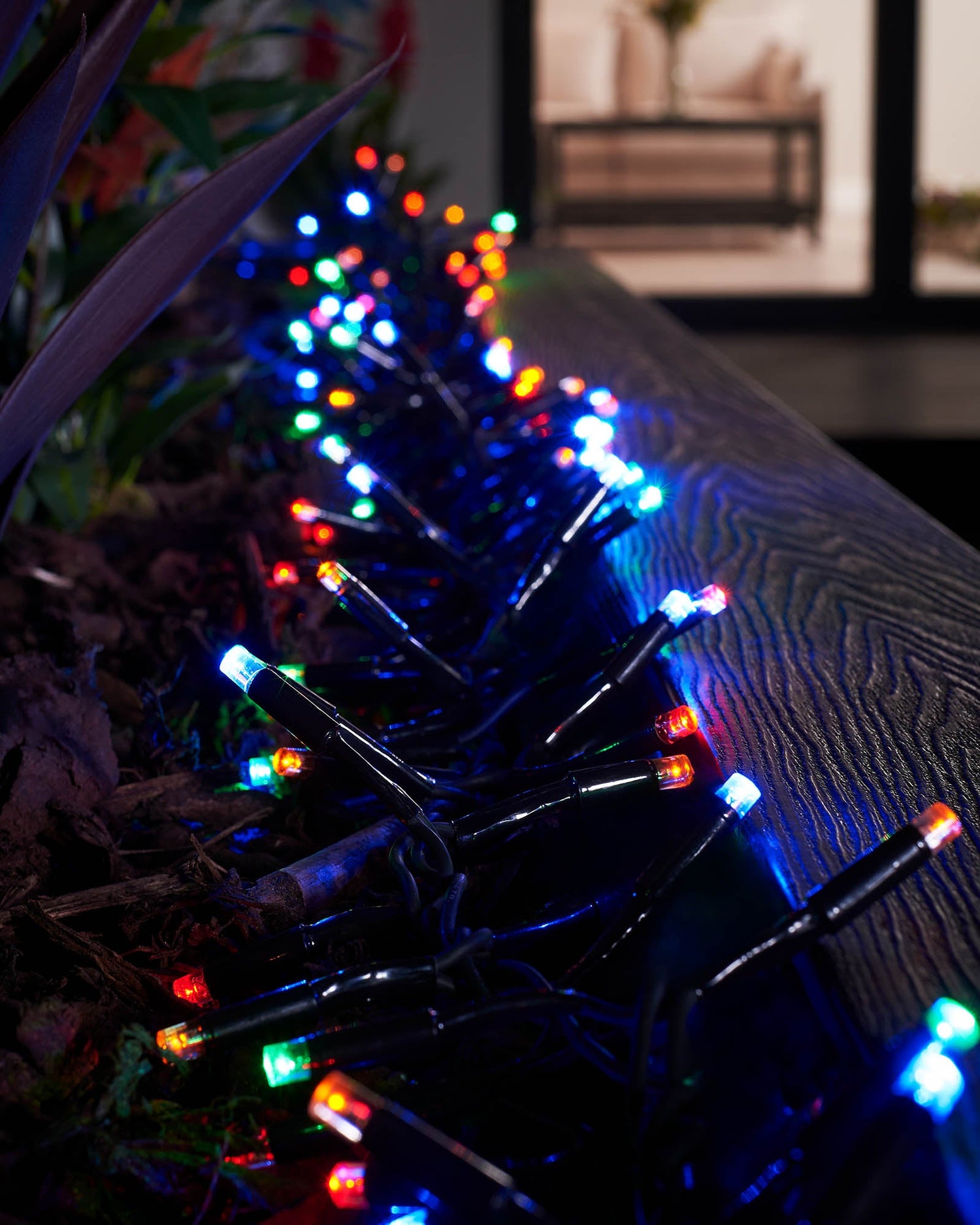 LED Cluster Lights, Black Cable, Multi Colour