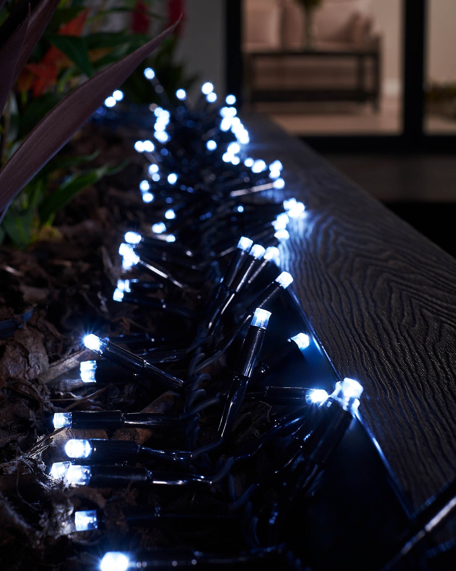 LED Cluster Lights, Black Cable, White