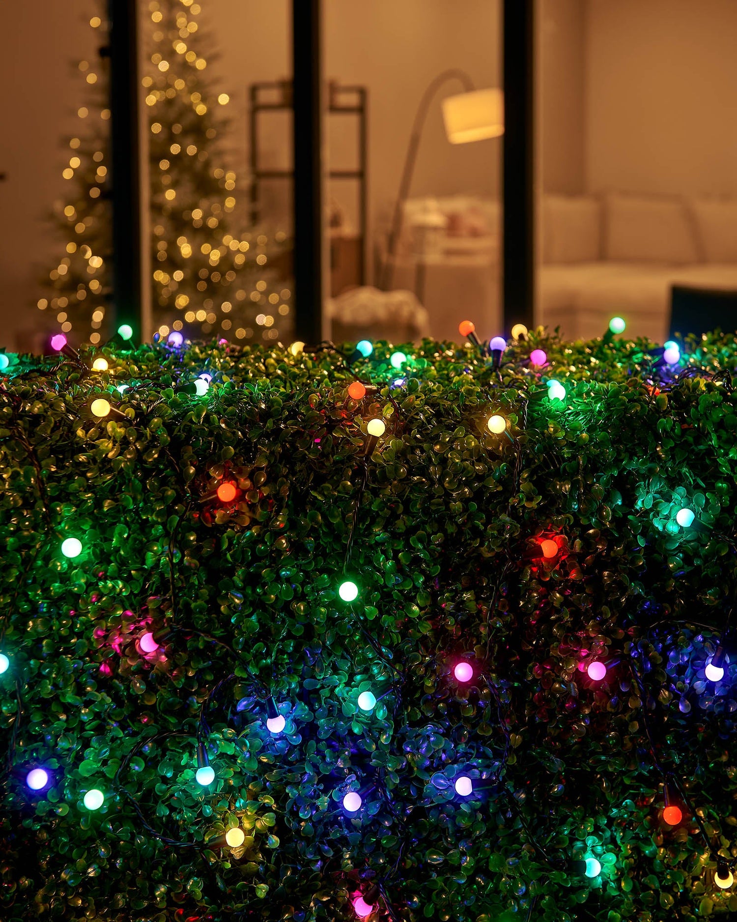 LED Berry Lights, Black Cable, Pastel Colour