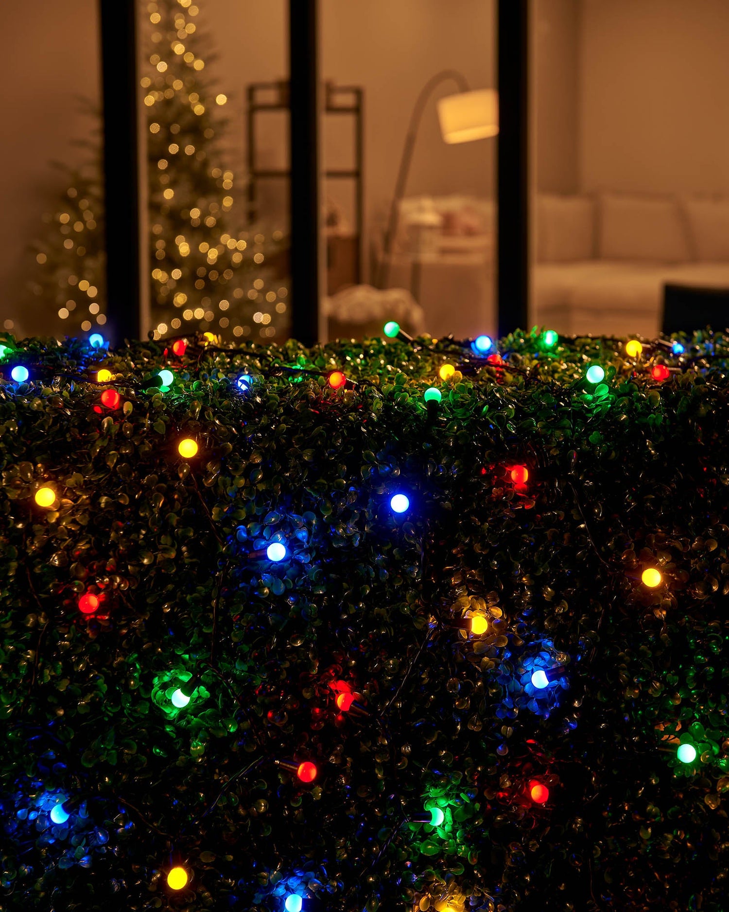 LED Berry Lights, Black Cable, Multi Colour