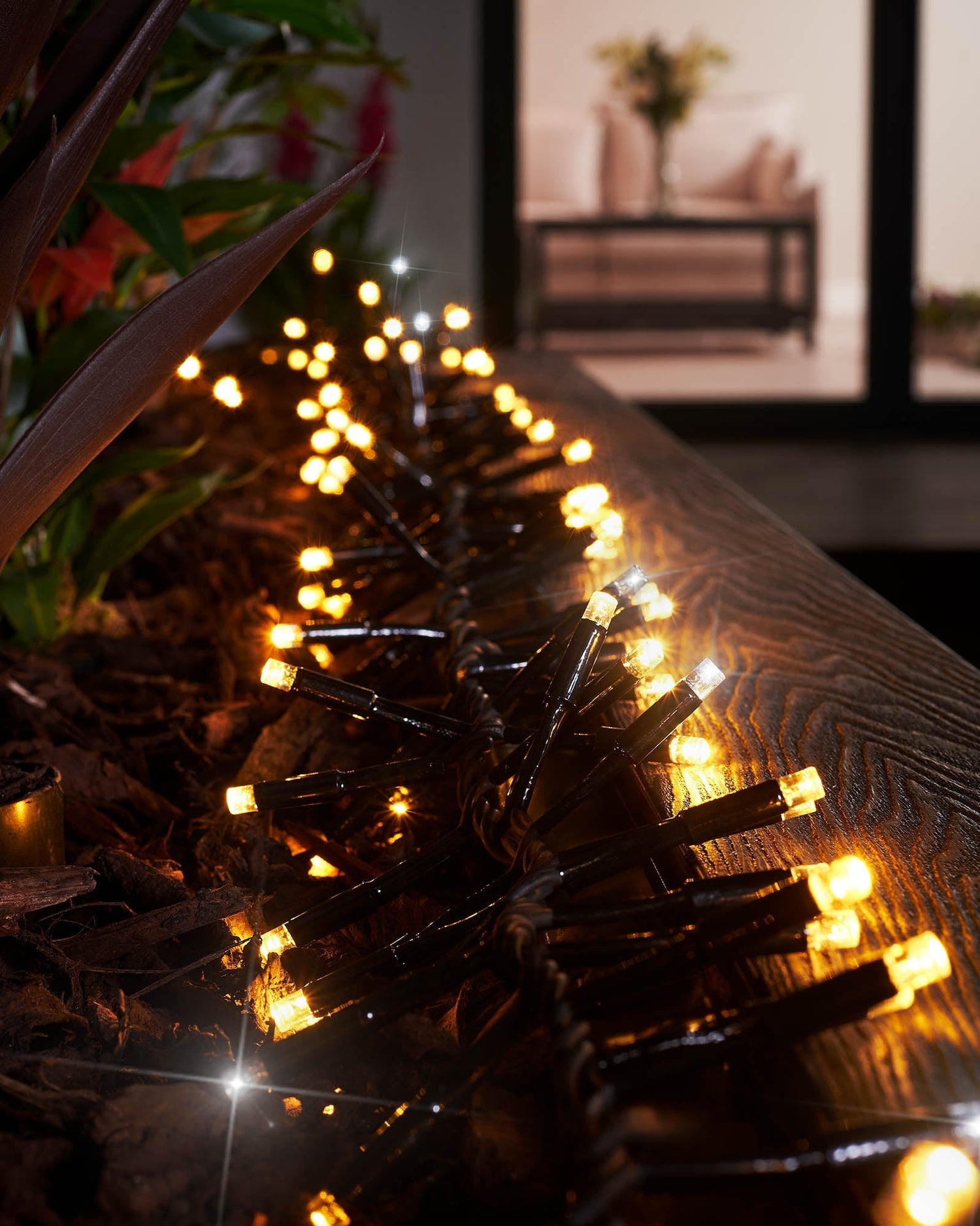 Twinkling LED Cluster Lights, Black Cable, Warm White / White