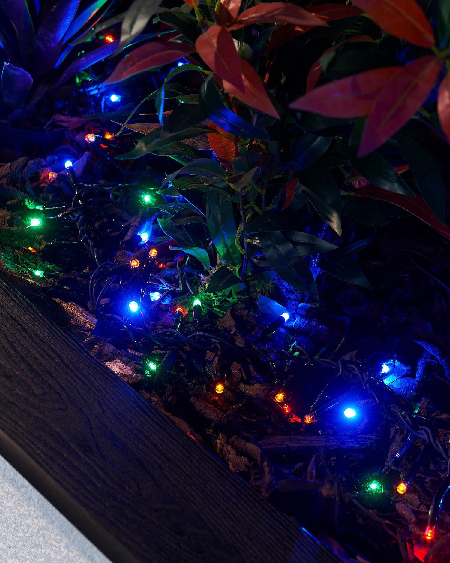 LED Cluster Lights, Multi Colour