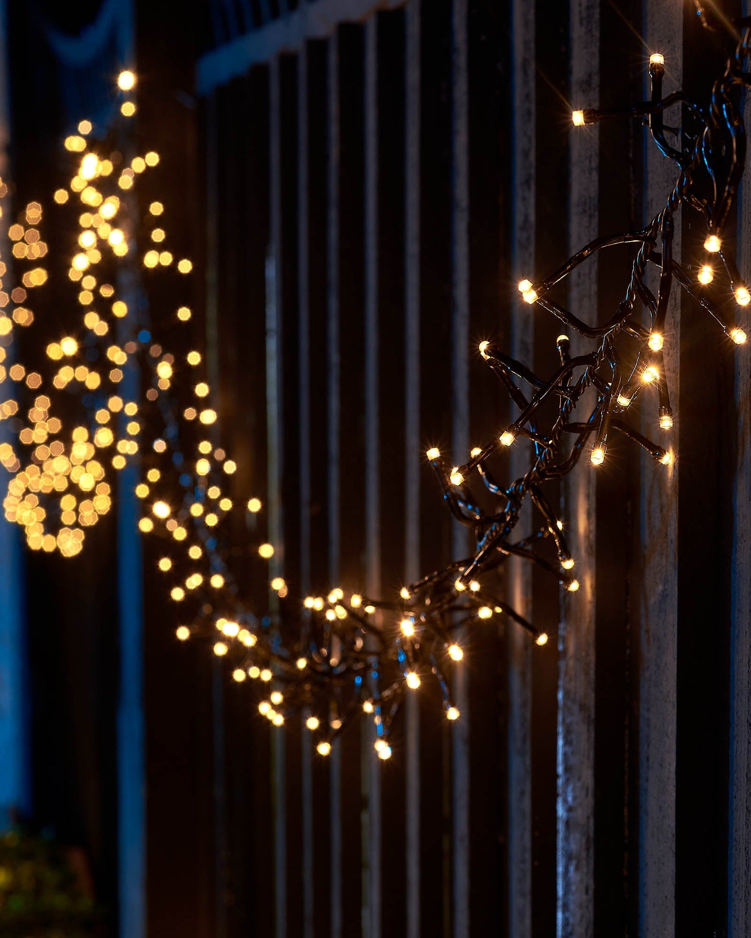 LED Cluster Lights, Black Cable, Warm White