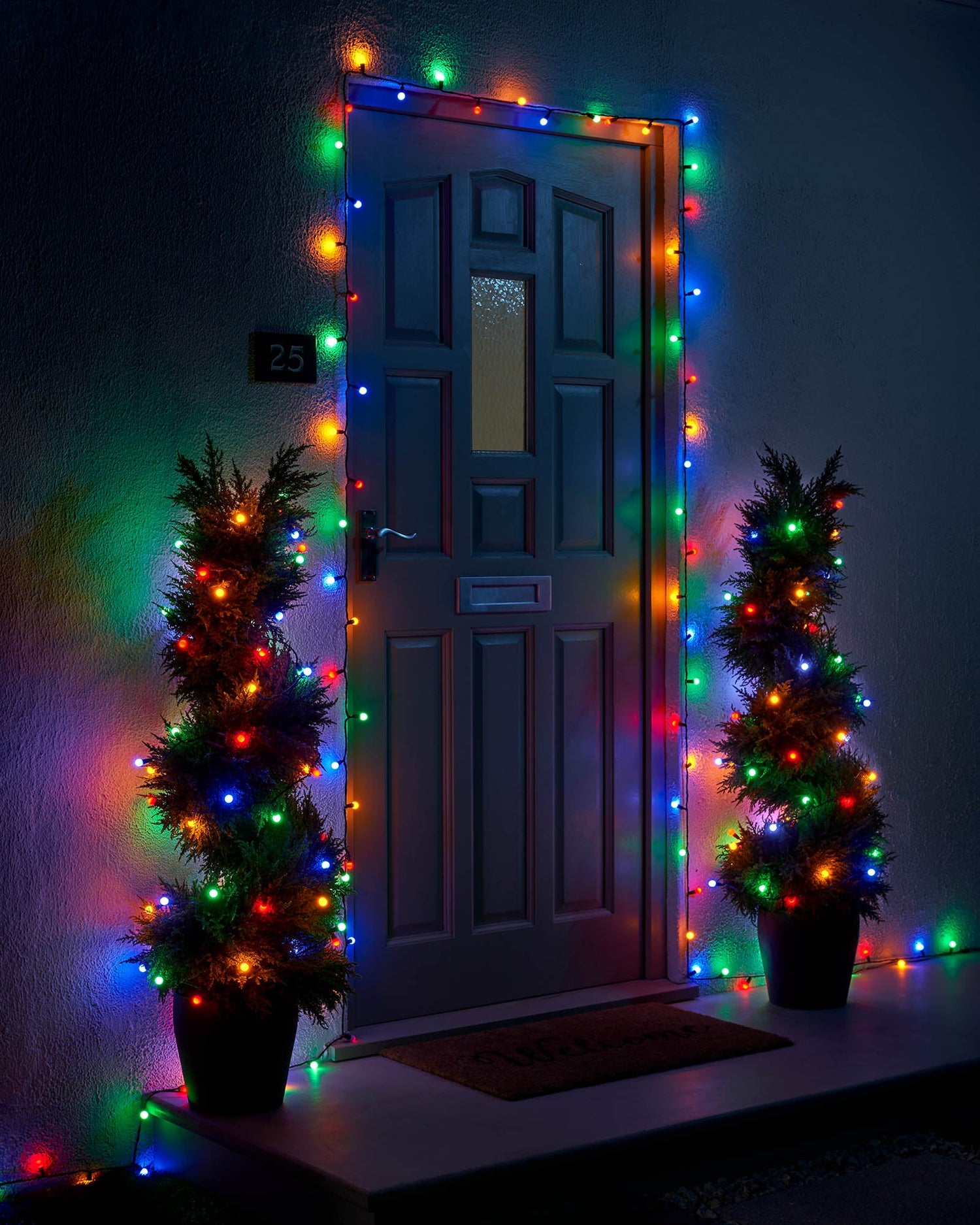 LED Berry Lights, Black Cable, Multi Colour