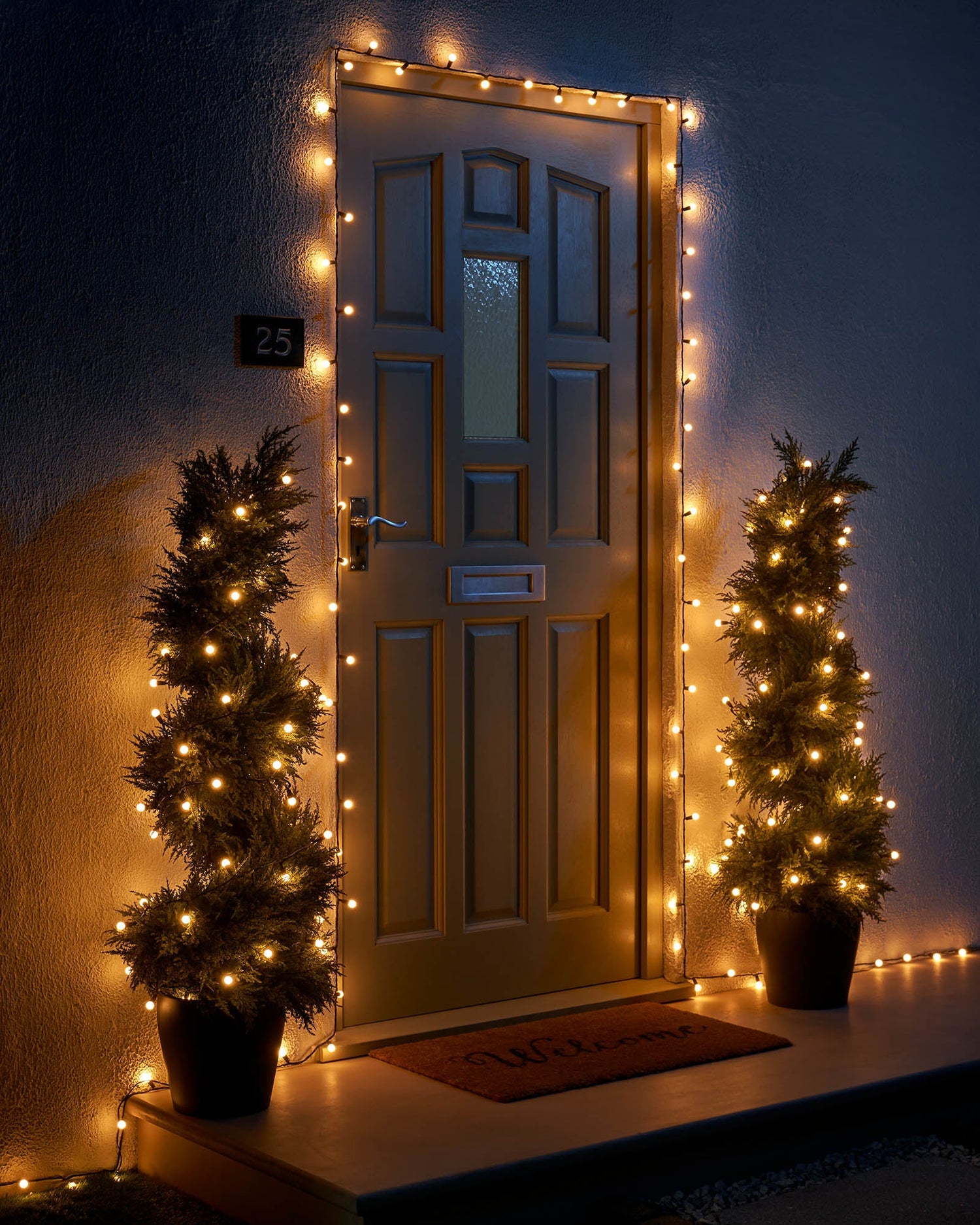 LED Berry Lights, Black Cable, Warm White