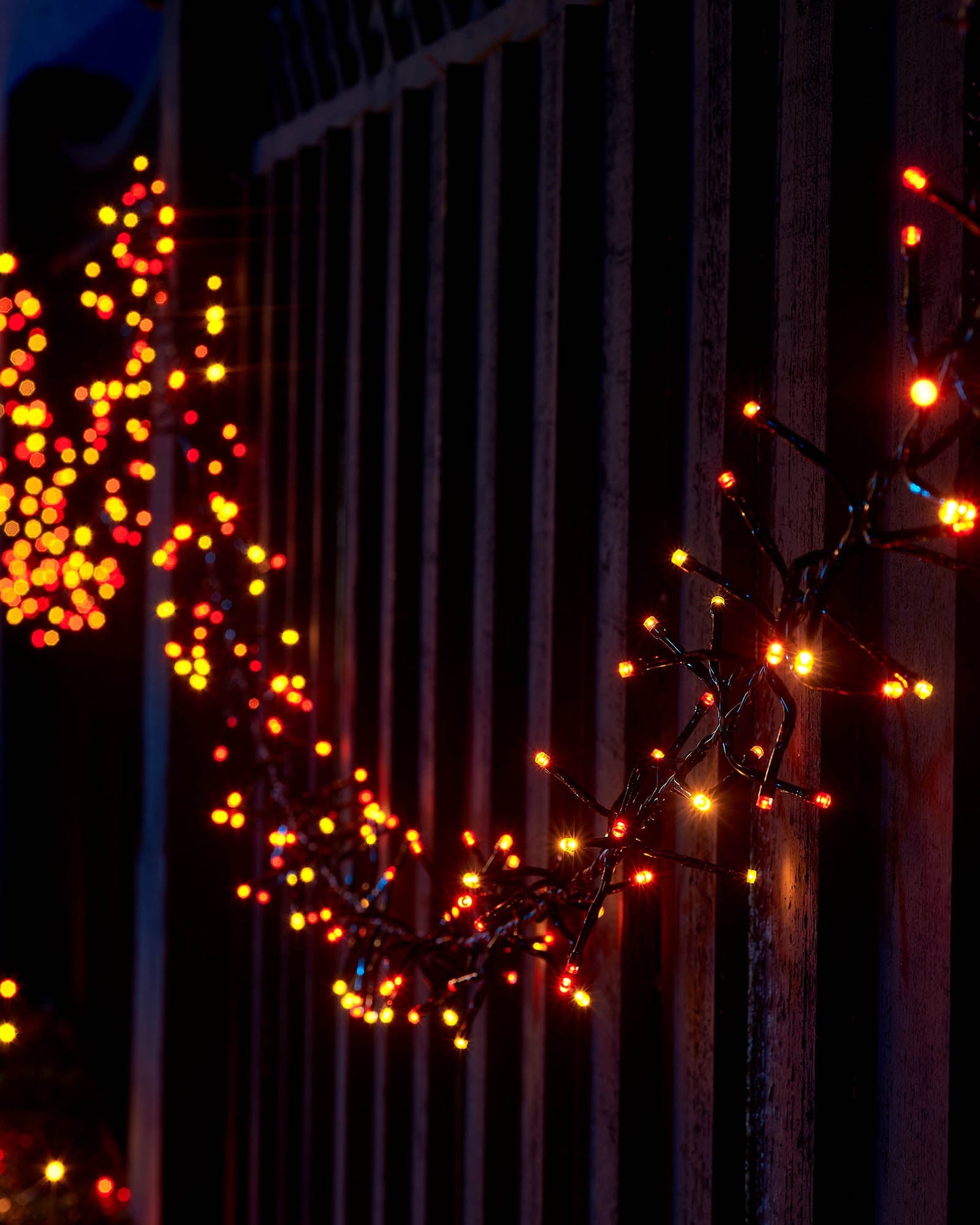 LED Cluster Lights, Black Cable, Autumn Colour