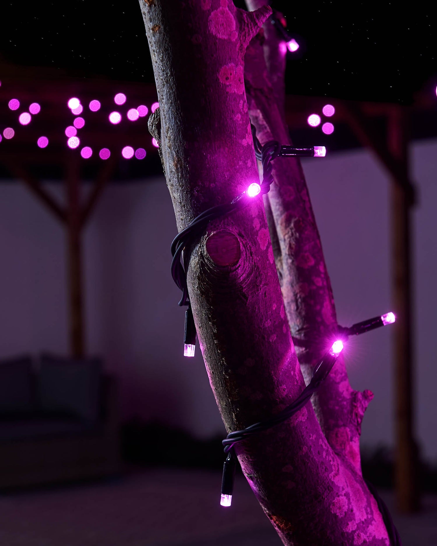 LED String Lights, Black Cable, Pink