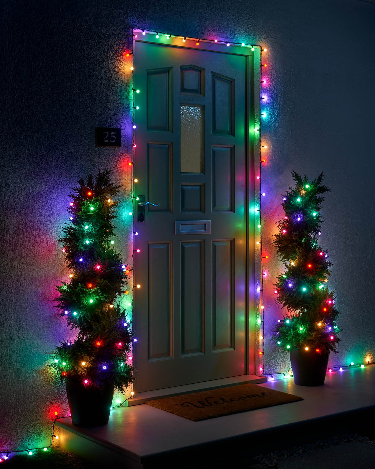 LED Berry Lights, Black Cable, Pastel Multi Colour - 8 m