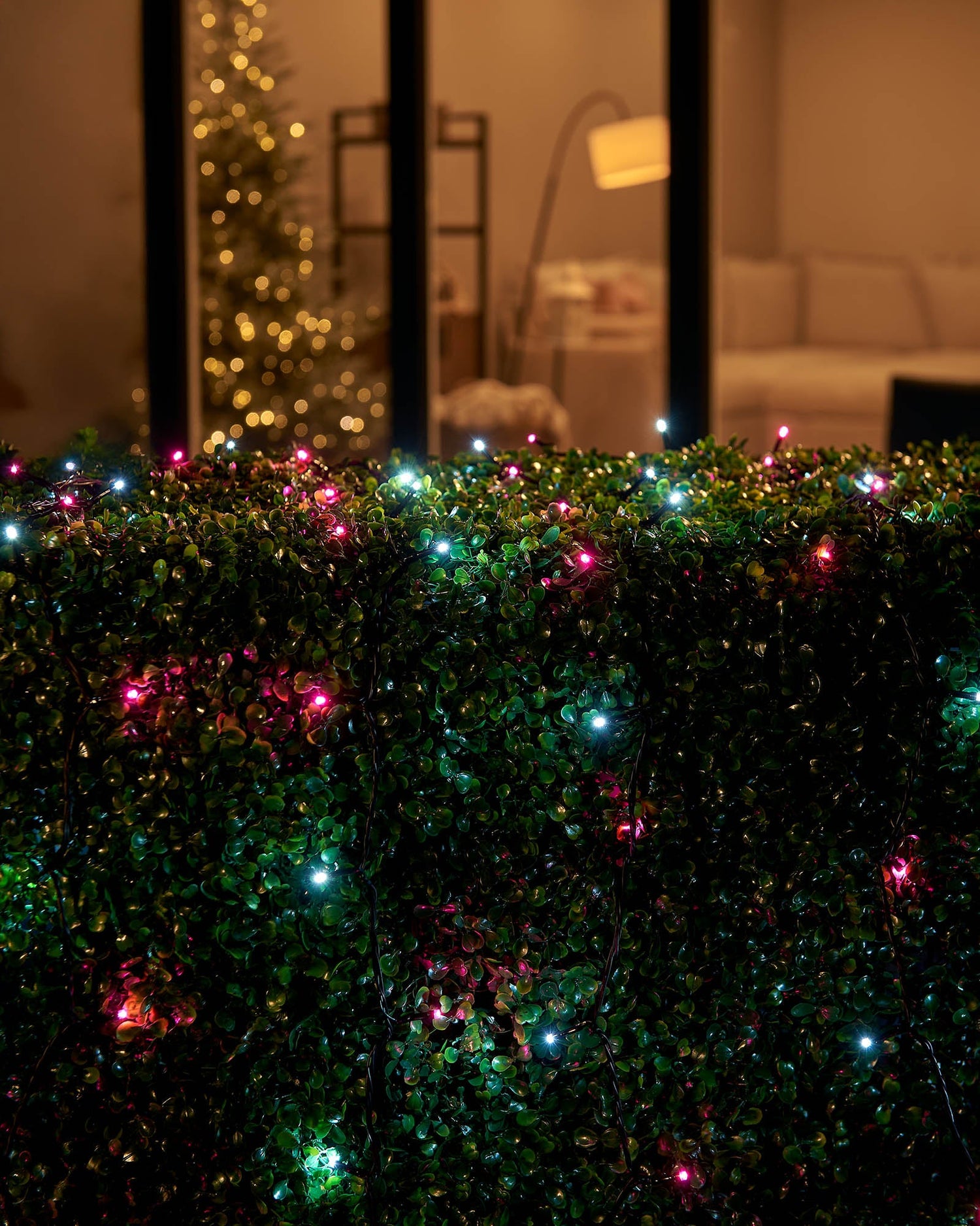 LED String Lights, Black Cable, Pink / White