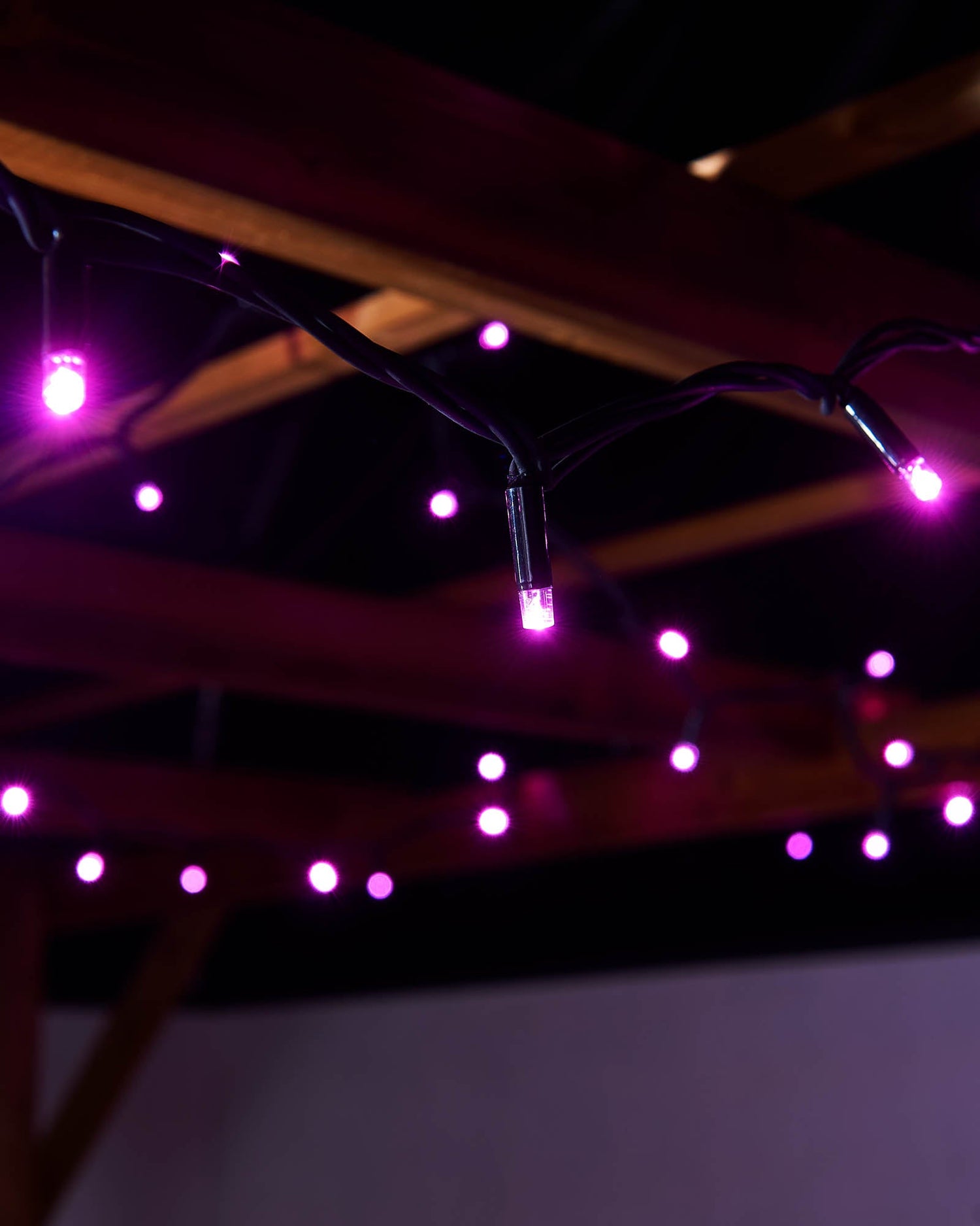 LED String Lights, Black Cable, Pink