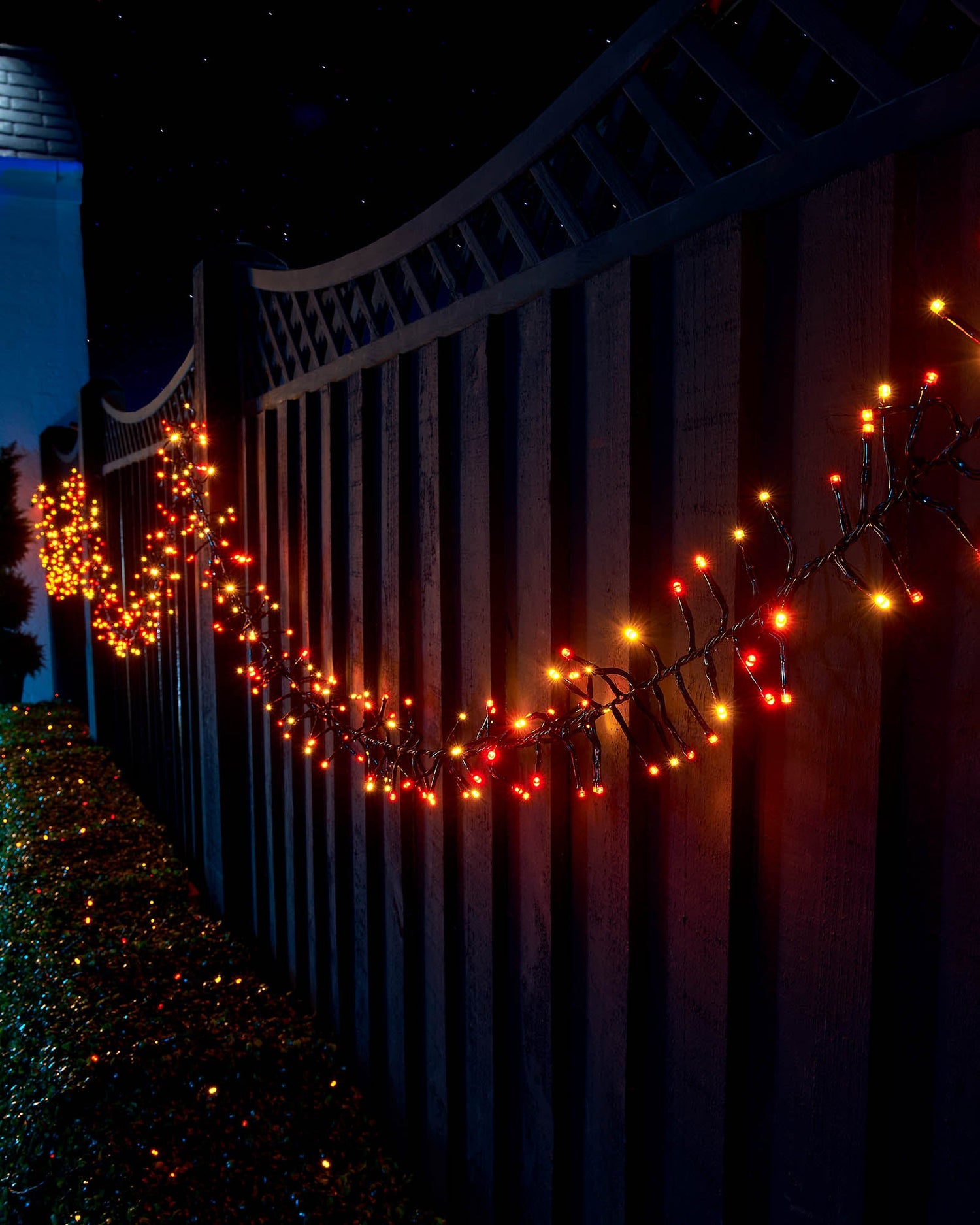 LED Cluster Lights, Black Cable, Autumn Colour