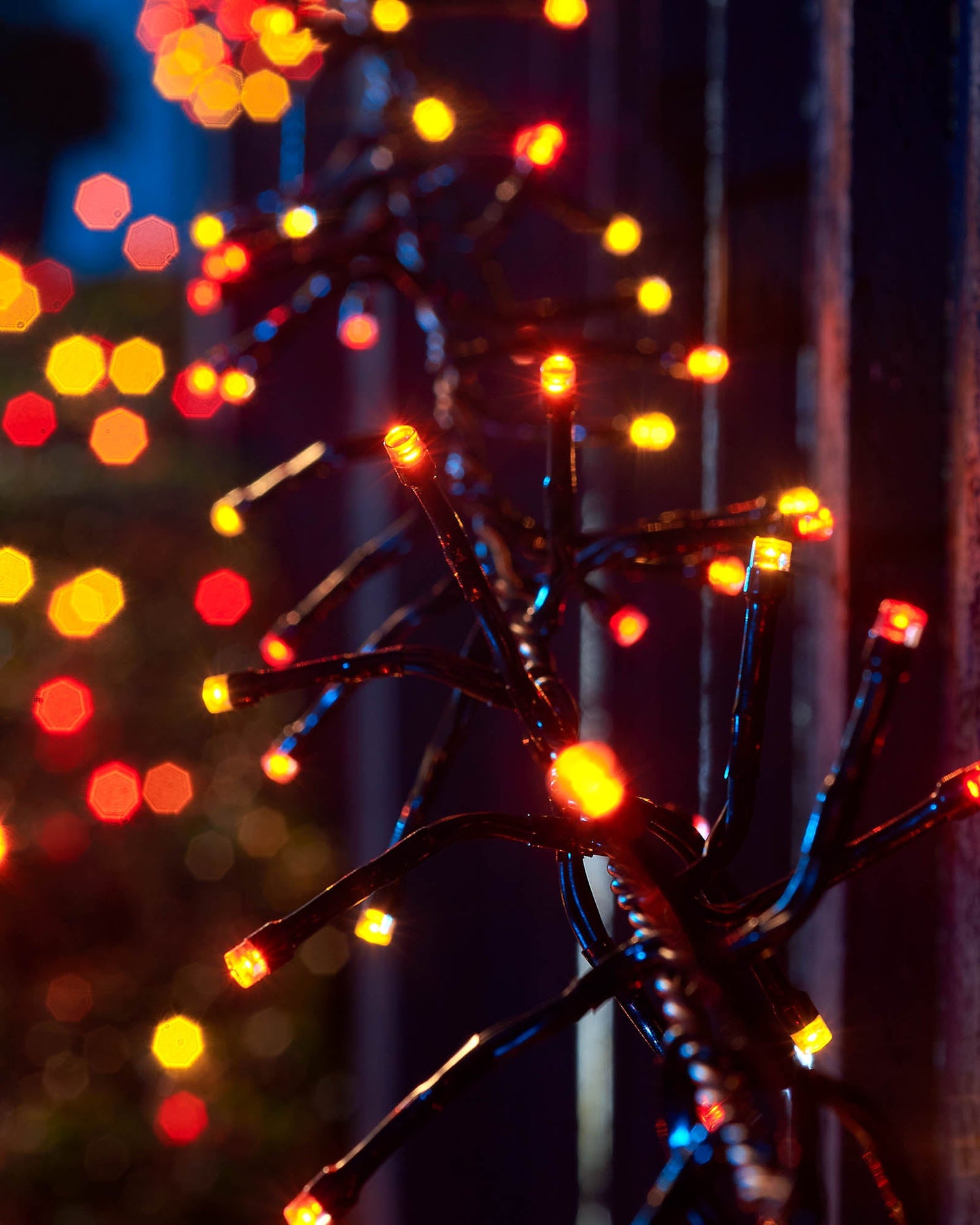 LED Cluster Lights, Black Cable, Autumn Colour