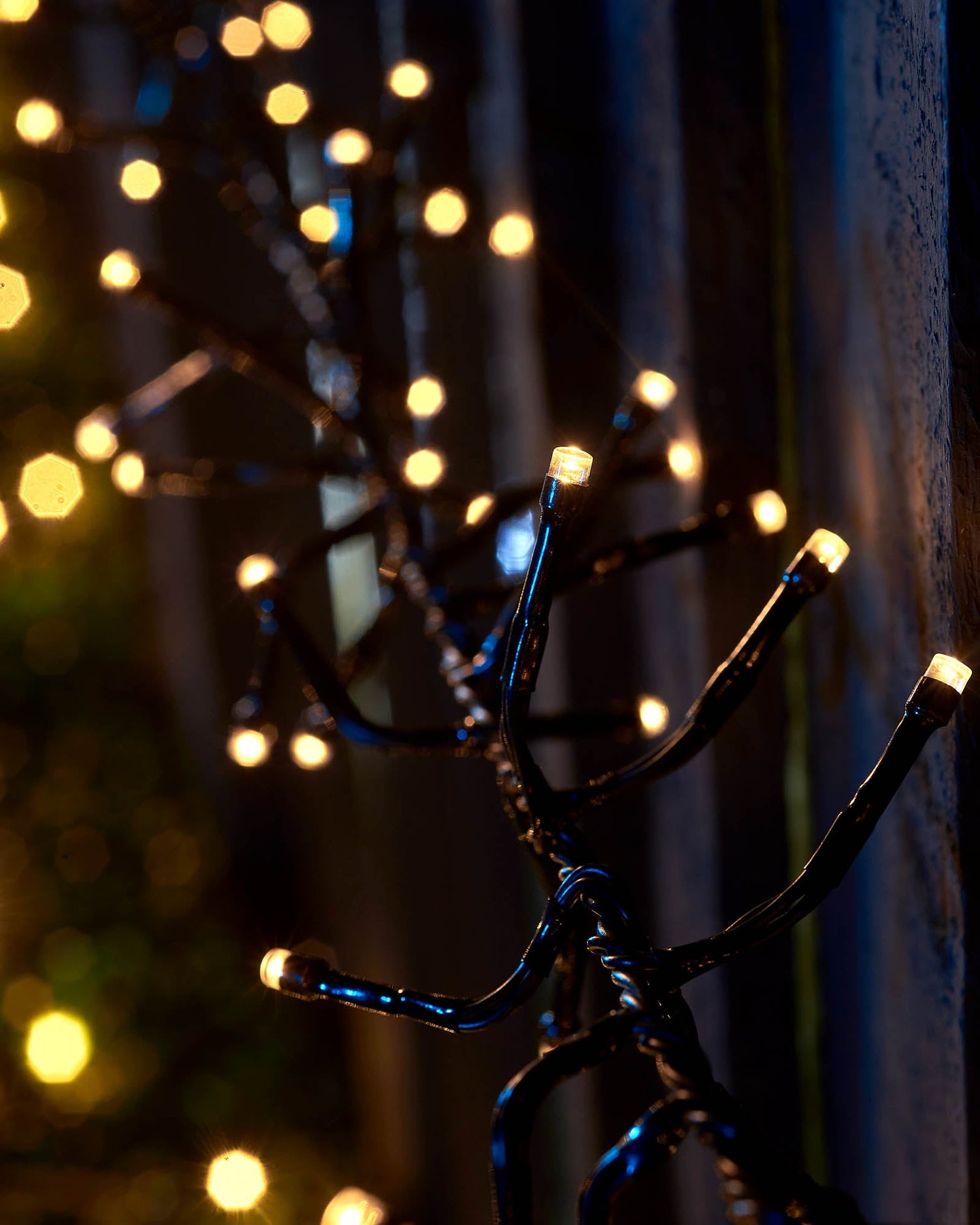 LED Cluster Lights, Black Cable, Warm White