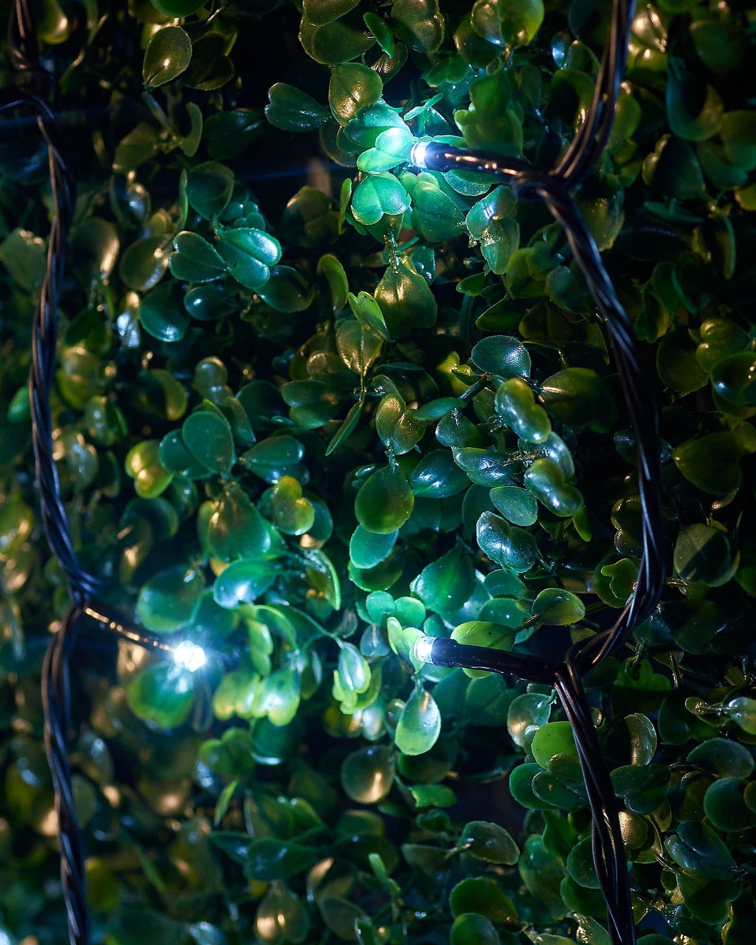 LED String Lights, Black Cable, White