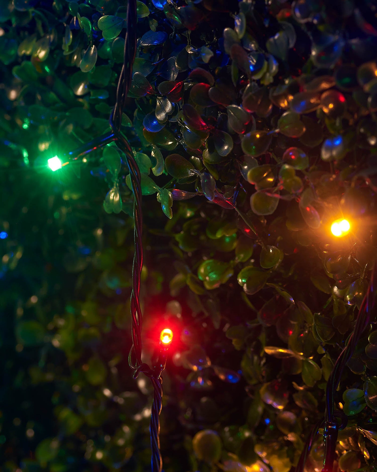 LED String Lights, Black Cable, Multi Colour